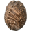 878147562
