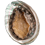 878147564