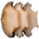 878147567