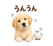 878151411