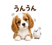 878151459