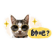 878203323