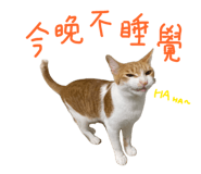 878214650