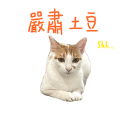 878214652