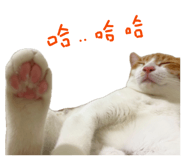 878214653