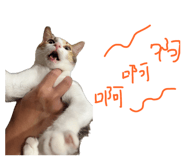878214654