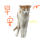 878214656