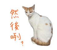 878214658