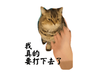 878216790