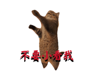 878216791