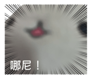 878223217