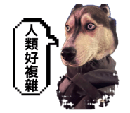 878225098