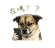 878249611