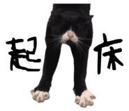 878287243