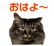 878288145