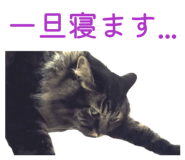 878288146