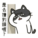 878308124
