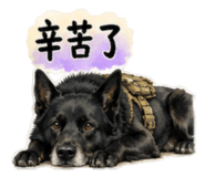 878308651