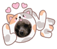 878309135