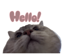878312497