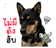 878328444