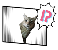 878338520