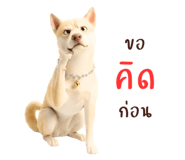 878346103