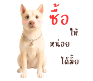 878346106