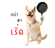 878346125