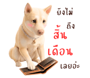 878346127