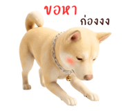 878346131