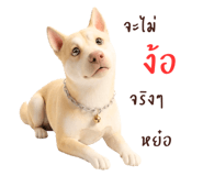 878346136