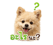 878372556