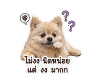 878372578