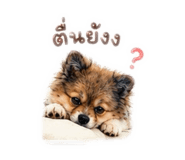 878388073