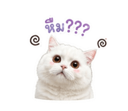 878389916