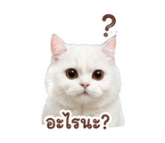 878389928