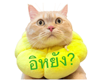 878405456