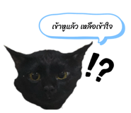 878411459