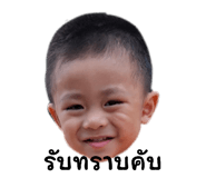 878420068