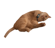 878434861