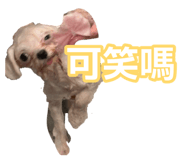 878440104