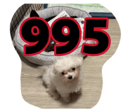 878440118