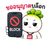 878480062