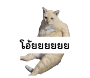 878484689
