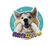 878491568