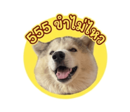 878491574