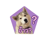 878491575
