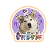 878491580