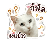 878502231